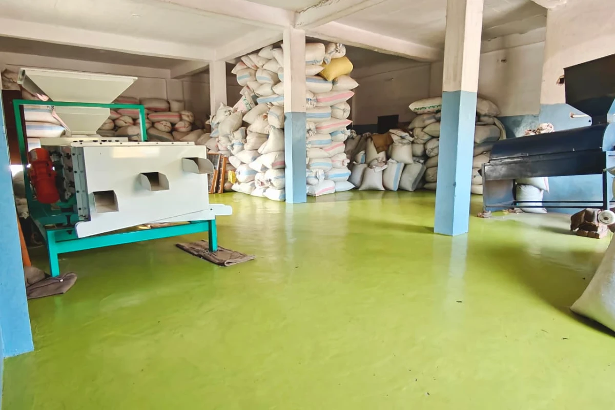 Automatic Makhana Cleaning & Precision Grading Facility